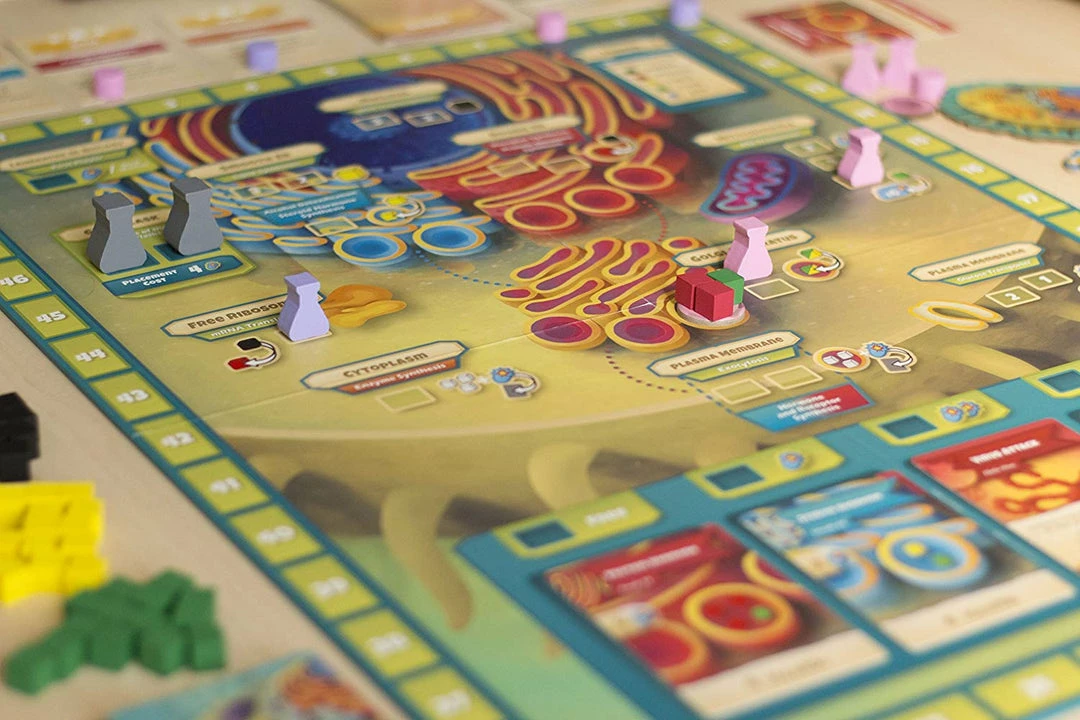 Genius Games Cytosis A Cell Biology Game