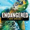 Grand Gamers Guild Strategy Games Endangered New Species