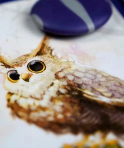 Plan B Games Equinox