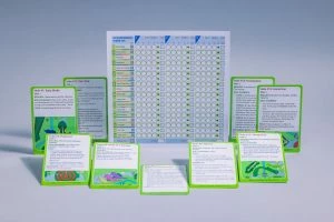 Stonemaier Games Rolling Realms Family Games