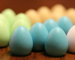 Stonemaier Games Card Games Wingspan